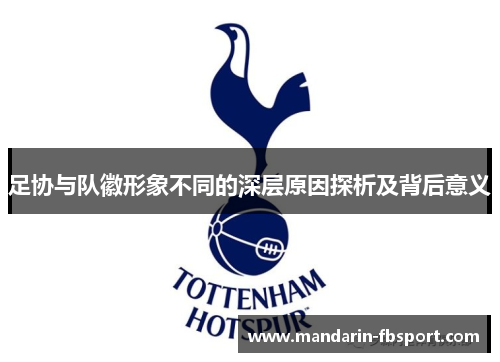 足协与队徽形象不同的深层原因探析及背后意义