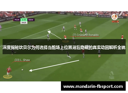 深度揭秘坎贝尔为何选择当前场上位置背后隐藏的真实动因解析全貌