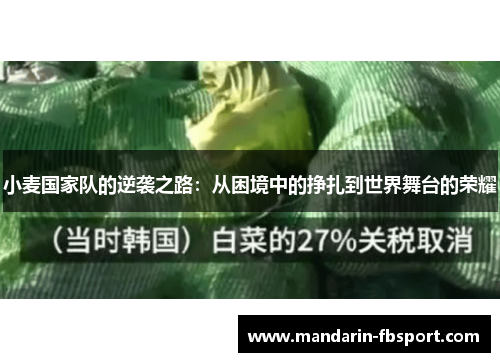 小麦国家队的逆袭之路：从困境中的挣扎到世界舞台的荣耀