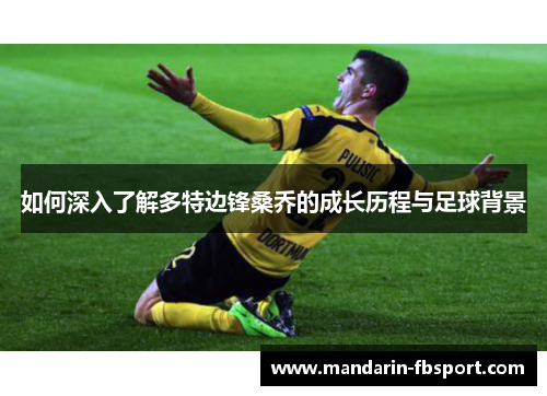 如何深入了解多特边锋桑乔的成长历程与足球背景 如何深入了解多特边锋桑乔的成长历程与足球背景