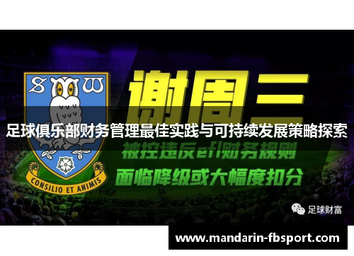 足球俱乐部财务管理最佳实践与可持续发展策略探索